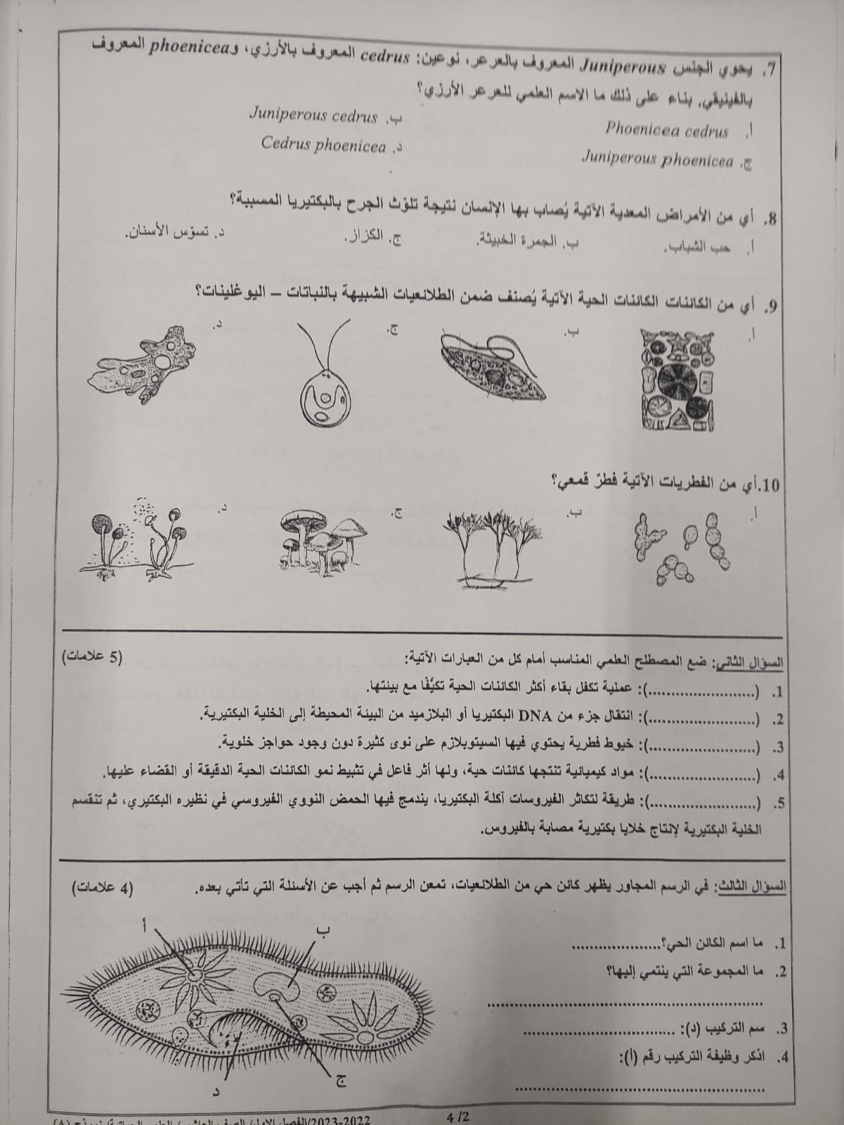 MTA5NDEyMQ83834 بالصور امتحان مادة العلوم الحياتية الاحياء النهائي للصف العاشر الفصل الاول 2022 نموذج B وكالة